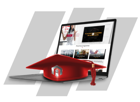 diseño pagina web-45 diseño pagina web-45